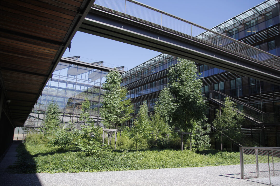 Jardin en cœur d’îlot d’immeuble de bureaux