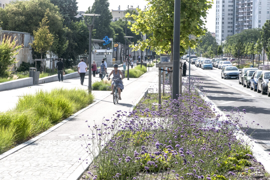 Avenue Mermoz