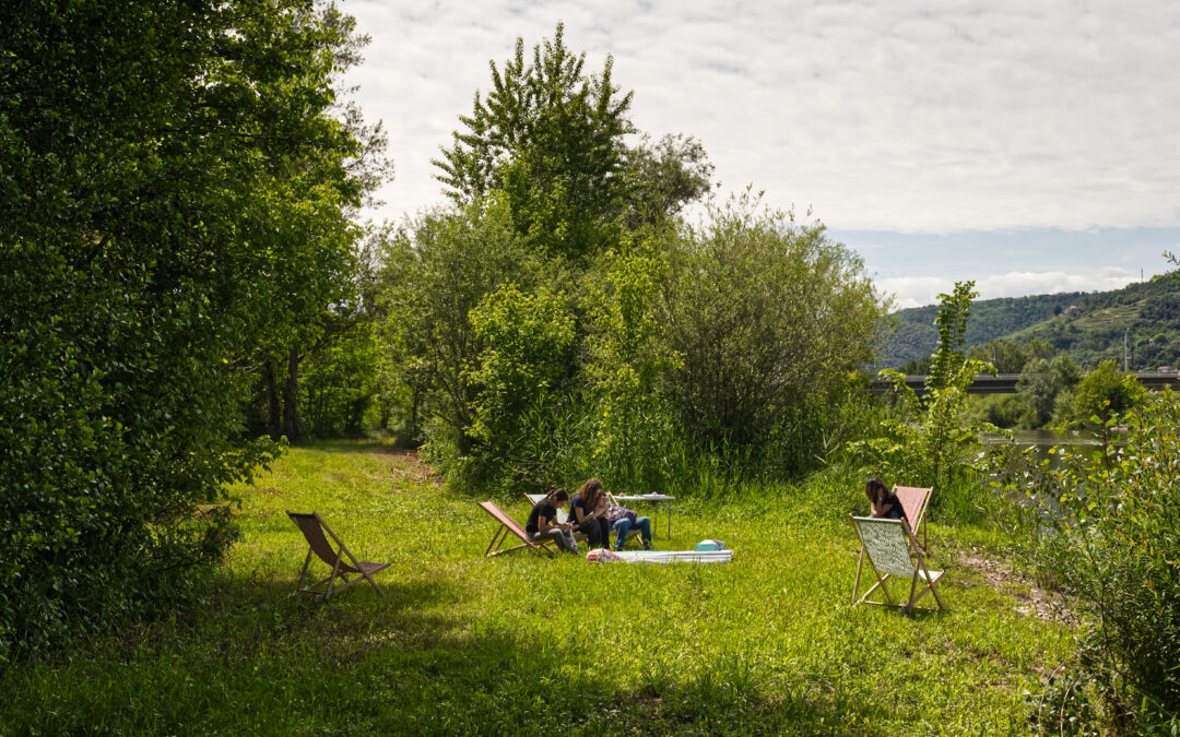 Aménagement du site ITDT