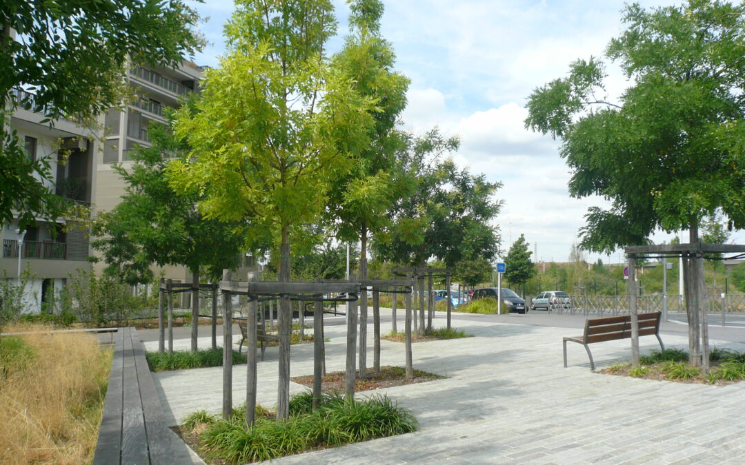 Zac Seine Arche – Secteur Hoche