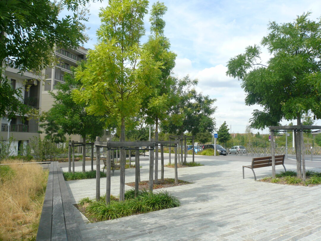Zac Seine Arche – Secteur Hoche