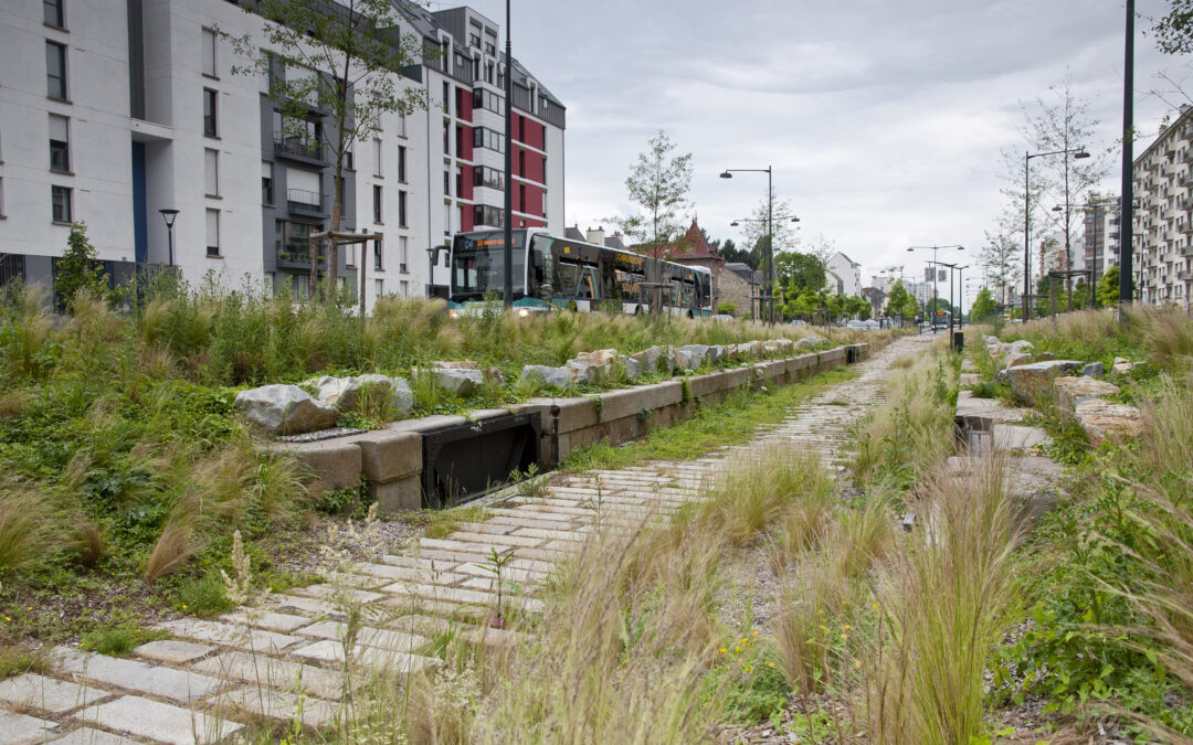 BHNS trambus ligne Est Ouest
